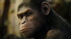 Trailer 3