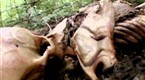 Hunter and Hunted: Death Down Under (season 1, episode 1)