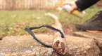 Howcast: How to Make a Hiking Stick