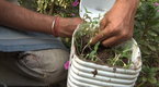 Howcast: How to Sow Seeds in Winter